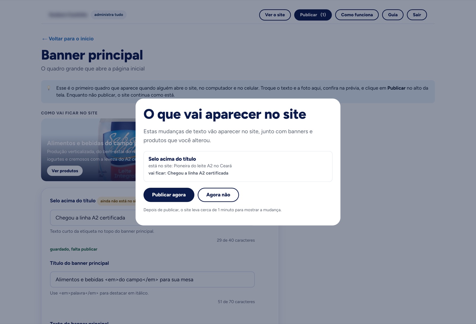 Janela que lista o que está no site e o que vai ficar, antes de publicar